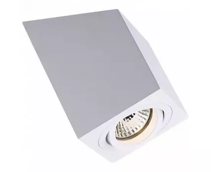 Спот Zumaline Roncub ACGU10-136