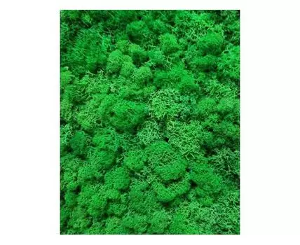 Стабилизированный МОХ Стандарт 1кв.м