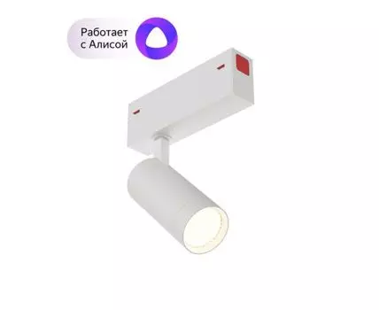 Светильник на шине однофазный Denkirs