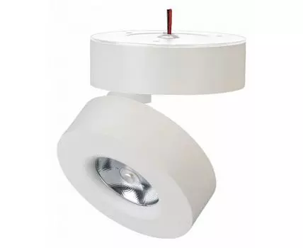 Светильник на штанге Arlight MONA 025439(1)