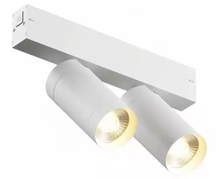 Светильник на штанге Denkirs Smart DK8012-WH