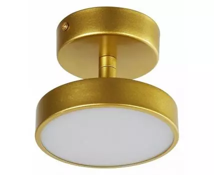 Светильник на штанге F-promo Atma 3059-1P