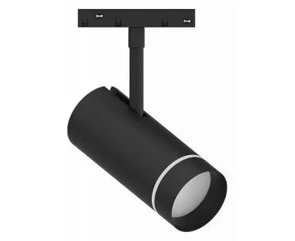 Светильник на штанге Feron MGN304 41952