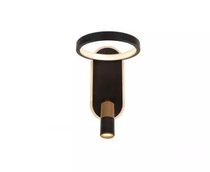 Светильник настенный ARTE LAMP TOLIMAN