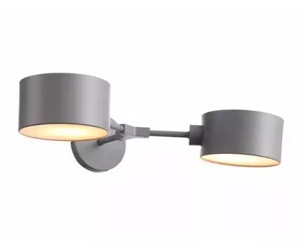 Светильник настенный EVOLUCE (Серый, 51)