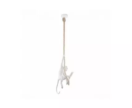 Светильник подвесной EVOLUCE