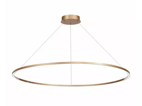Светильник подвесной Ring lamp