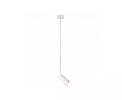 Светильник подвесной ST LUCE (Белый)