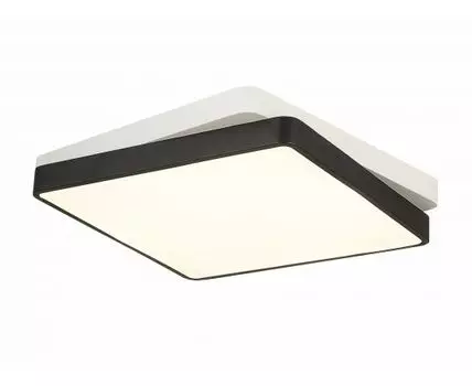 Светильник потолочный EVOLUCE (Белый, 50)