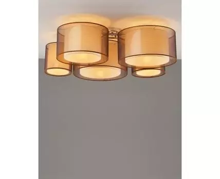 Светильник потолочный Moderli V10624-5C Room