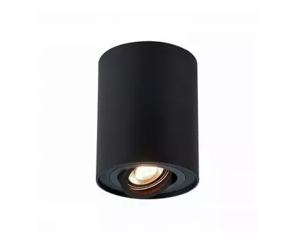 Светильник потолочный ST LUCE (Черный)