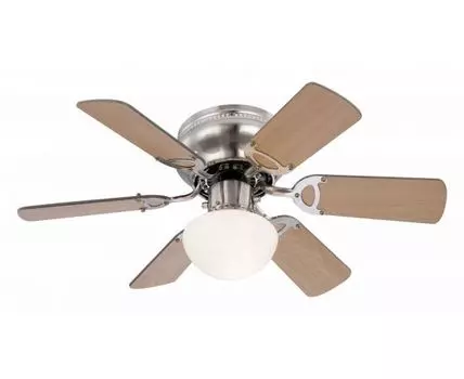 Светильник с вентилятором Globo Ugo 307