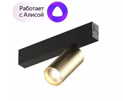 Светильник трековый Denkirs Smart