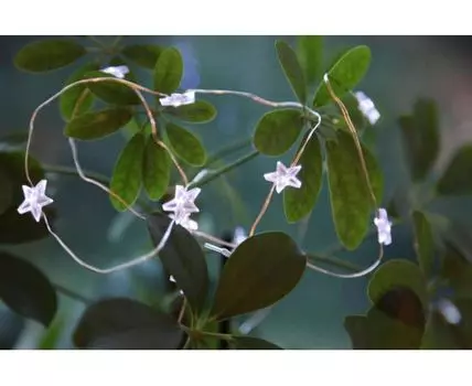 Светодиодная елочная гирлянда Eglo DEW DROP