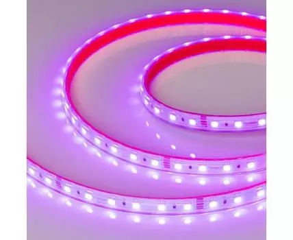 Светодиодная лента Arlight RTW-PS-B60-12mm 5060 24V 14,4w/m