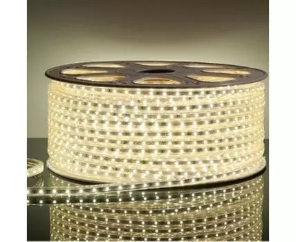Светодиодная лента, теплый свет, IP65, 60 LED/м, 220V
