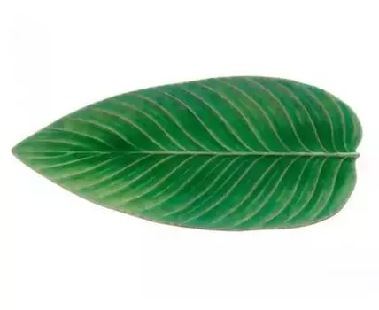 Тарелка RIVIERA (Зеленый, 17)