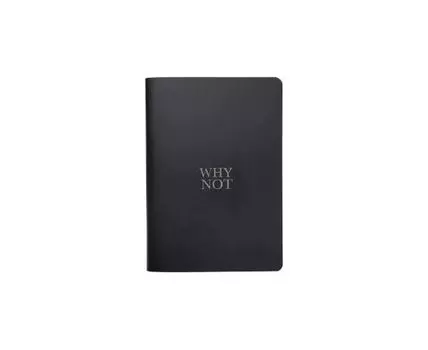 Тетрадь Aesthetics черный Why not 48л (15)