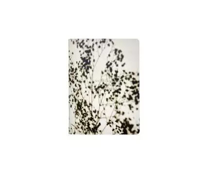 Тетрадь общая Be Smart Nude веточка 48л