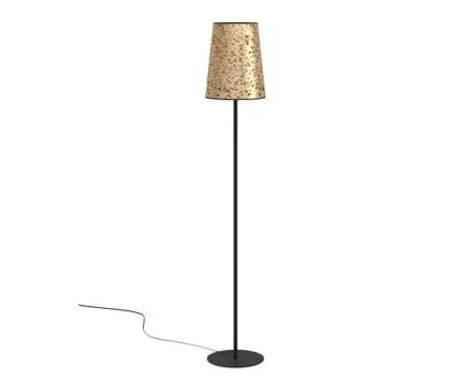 Торшер Eglo CASTUERA