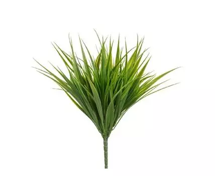 Трава Сворд куст