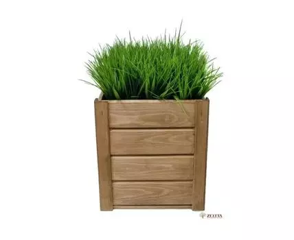 Травка Фейка в деревянном ЭКО кашпо