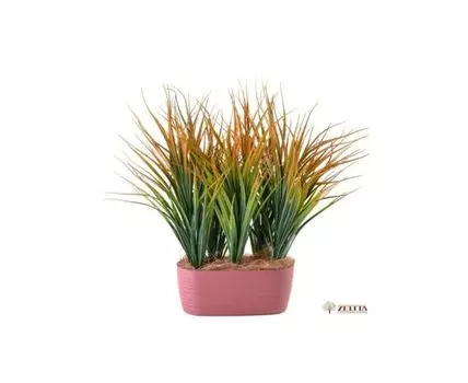 Травка Кадка рыжая №5 в бонсайнице