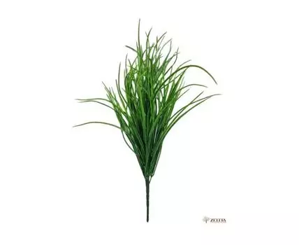 Травка Кадка зеленая