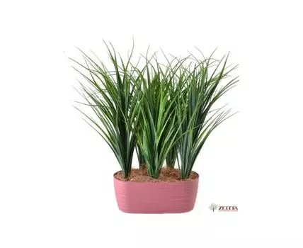 Травка Кадка зеленая №5 в бонсайнице