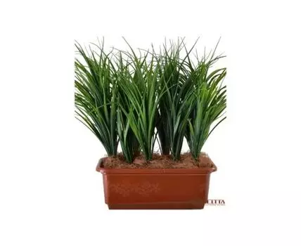 Травка Кадка зеленая №9 в балконке