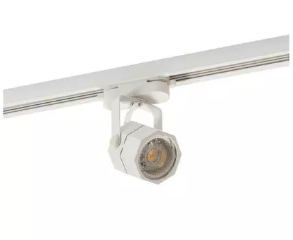 Трековый светильник Denkirs