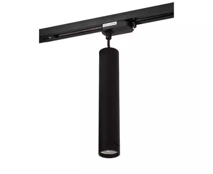 Трековый светильник Denkirs