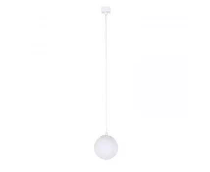 Трековый светильник Favourite Unika