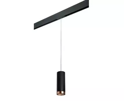 Трековый светильник Lightstar Rullo