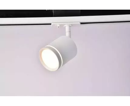 Трековый светильник Maytoni Technical Orlo