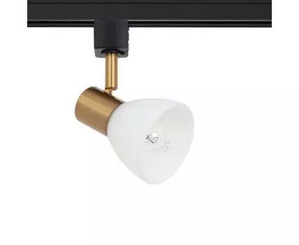 Трековый светильник однофазный ArteLamp FALENA