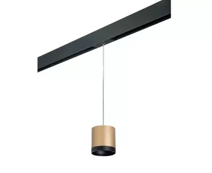 Трековый светильник Rullo для трека PRO Lightstar Rullo