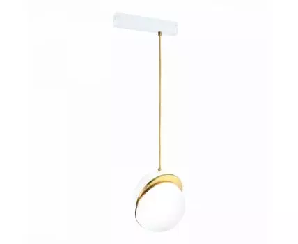 Трековый светильник ST LUCE SKYLINE 220