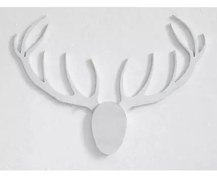 Трофейные рога Лось Мудрости в белом цвете (87)