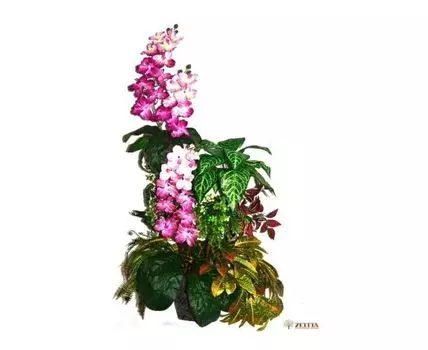 Тропический сад Азарин