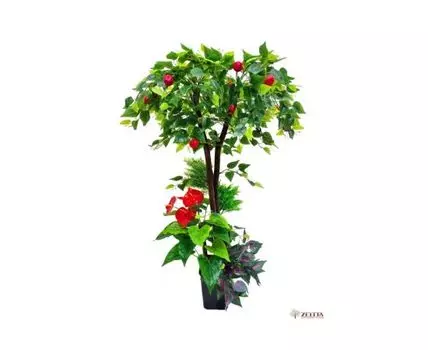 Тропический сад Лаурель