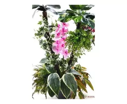 Тропический сад Спарклер