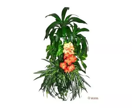 Тропический сад Сплендэкс