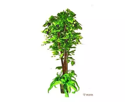 Тропический сад Торри