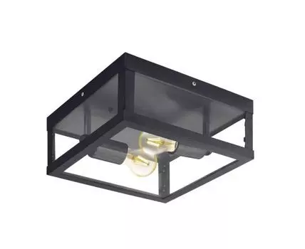 Уличный настенно-потолочный светильник Alamonte