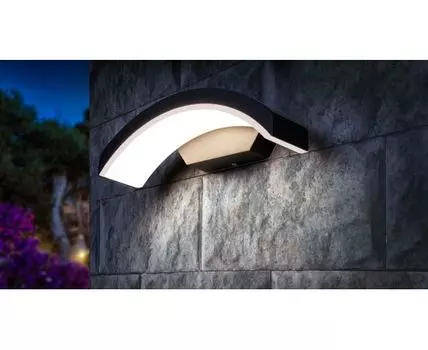 Уличный настенный светильник Asteria