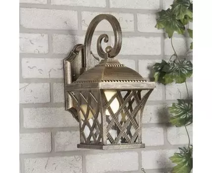 Уличный настенный светильник Cassiopeya