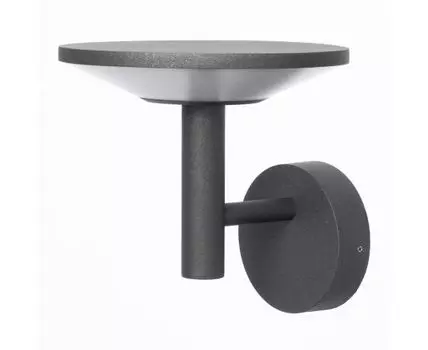 Уличный настенный светильник Citilux Dorn