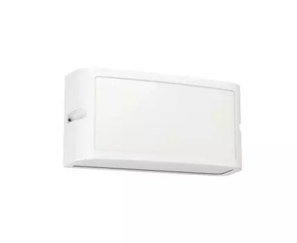 Уличный настенный светильник Eglo CAMARDA