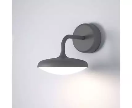 Уличный настенный светильник Elektrostandaed Portal